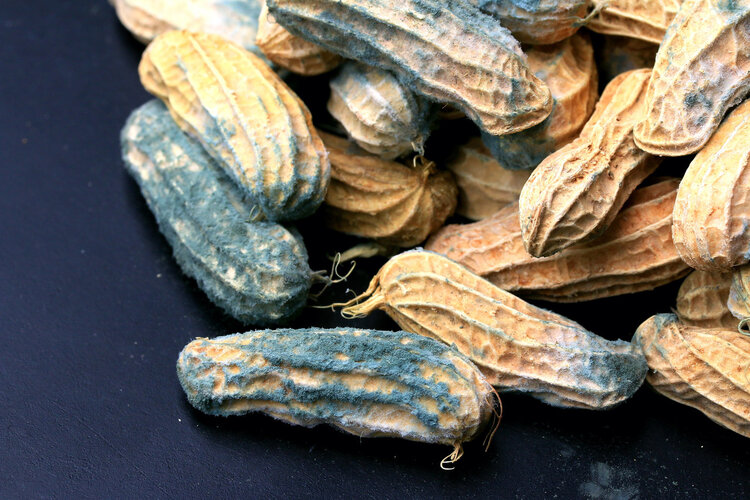 5 种易致癌的做菜习惯,你家中了几个? 5 种易致癌的做菜习惯,你家中了几个?