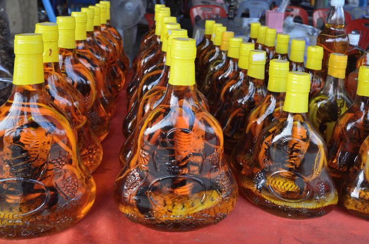 蛇越毒,酒越好?男子被酒中泡3个月的蛇咬中毒,为何蛇没有死? 蛇越毒,酒越好?男子被酒中泡3个月的蛇咬中毒,为何蛇没有死?